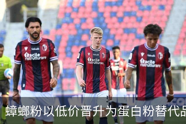 蟑螂粉以低价晋升为蛋白粉替代品，但健康风险需警惕